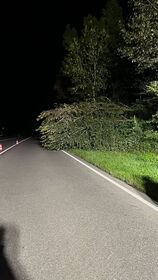 543568069 1109444051387409 7714065215932455264 n